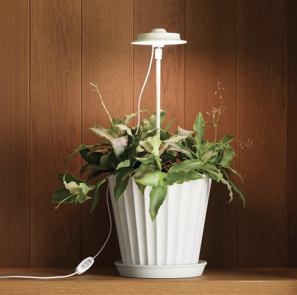 Hearth & Hand Magnolia LED Grow Light 16" Dimmable Indoor Plant 36000h